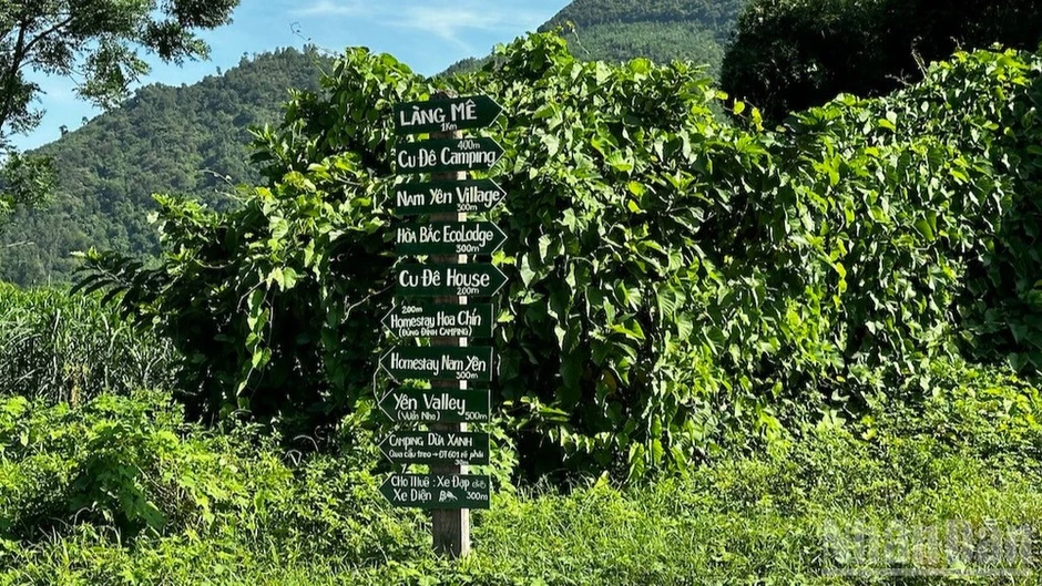 Đà Nẵng công bố Bộ tiêu chí Cơ sở lưu trú du lịch xanh Đà Nẵng công bố Bộ tiêu chí Cơ sở lưu trú du lịch xanh