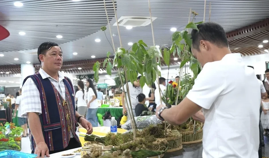 Đà Nẵng: Từ lễ hội đến hành trình du lịch sâm Ngọc Linh Đà Nẵng: Từ lễ hội đến hành trình du lịch sâm Ngọc Linh