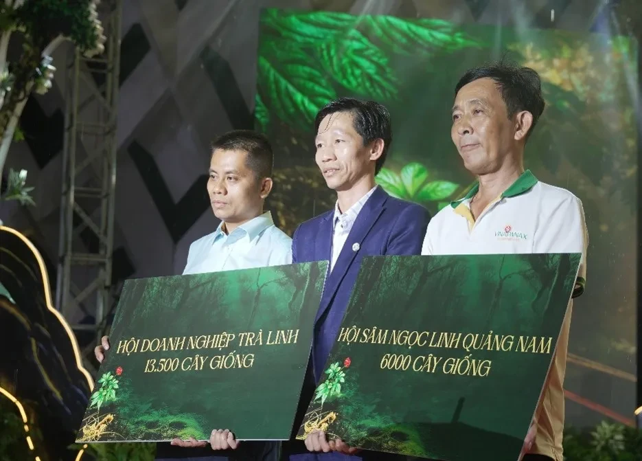 Đà Nẵng: Từ lễ hội đến hành trình du lịch sâm Ngọc Linh Đà Nẵng: Từ lễ hội đến hành trình du lịch sâm Ngọc Linh