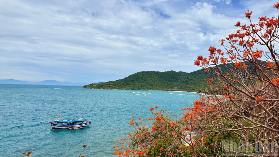 Đà Nẵng: Xây dựng môi trường du lịch xanh, thân thiện và an toàn trên xã đảo Tân Hiệp Đà Nẵng: Xây dựng môi trường du lịch xanh, thân thiện và an toàn trên xã đảo Tân Hiệp