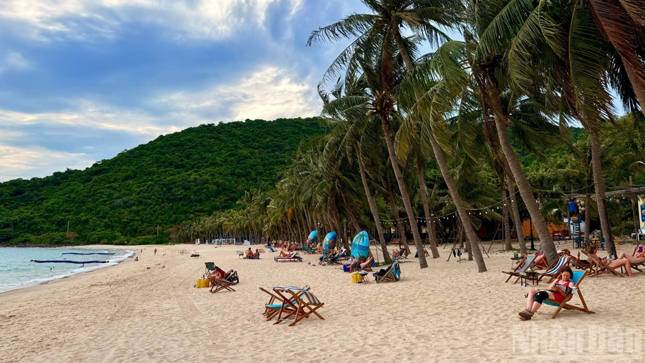 Đà Nẵng: Xây dựng môi trường du lịch xanh, thân thiện và an toàn trên xã đảo Tân Hiệp Đà Nẵng: Xây dựng môi trường du lịch xanh, thân thiện và an toàn trên xã đảo Tân Hiệp