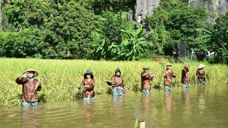 Đặc sắc không gian văn hóa nông nghiệp tại Lễ hội Sắc vàng Tam Cốc-Tràng An năm 2026 Đặc sắc không gian văn hóa nông nghiệp tại Lễ hội Sắc vàng Tam Cốc-Tràng An năm 2026