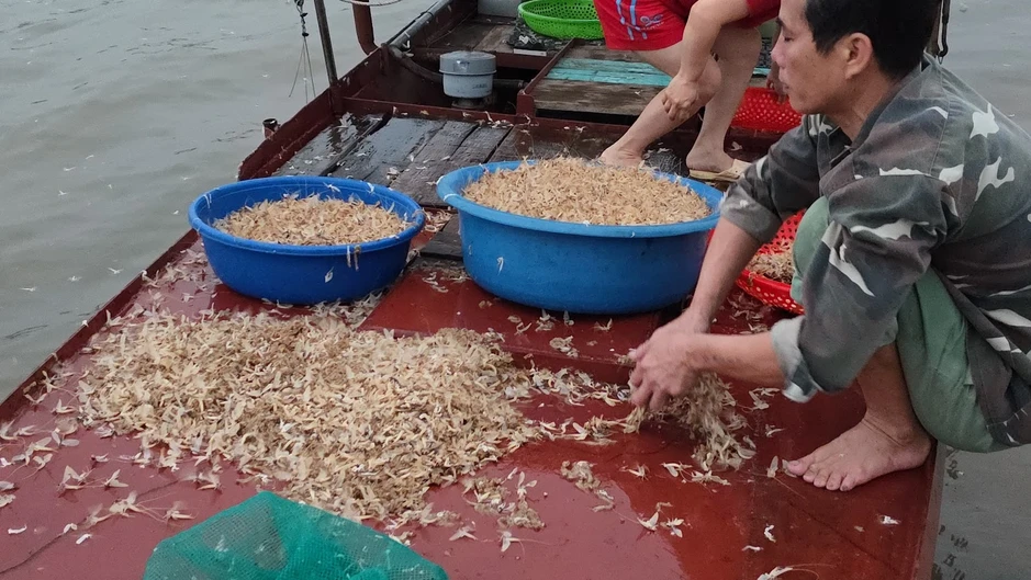 Đặc sản ở Hà Nội xuất hiện 30 phút rồi chết, muốn bắt phải canh cả đêm Đặc sản ở Hà Nội xuất hiện 30 phút rồi chết, muốn bắt phải canh cả đêm