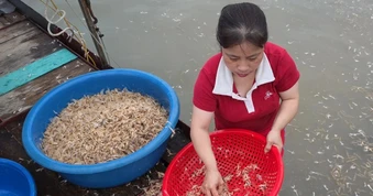 Đặc sản ở Hà Nội xuất hiện 30 phút rồi chết, muốn bắt phải canh cả đêm