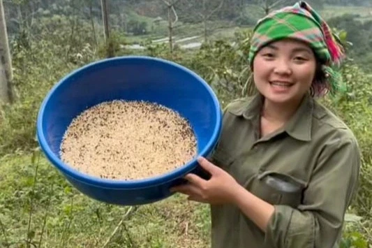 Đặc sản ở Việt Nam nửa triệu đồng/kg, được ví là "khổ trước, sướng sau" Đặc sản ở Việt Nam nửa triệu đồng/kg, được ví là "khổ trước, sướng sau"