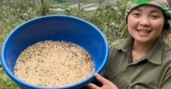 Đặc sản ở Việt Nam nửa triệu đồng/kg, được ví là "khổ trước, sướng sau"