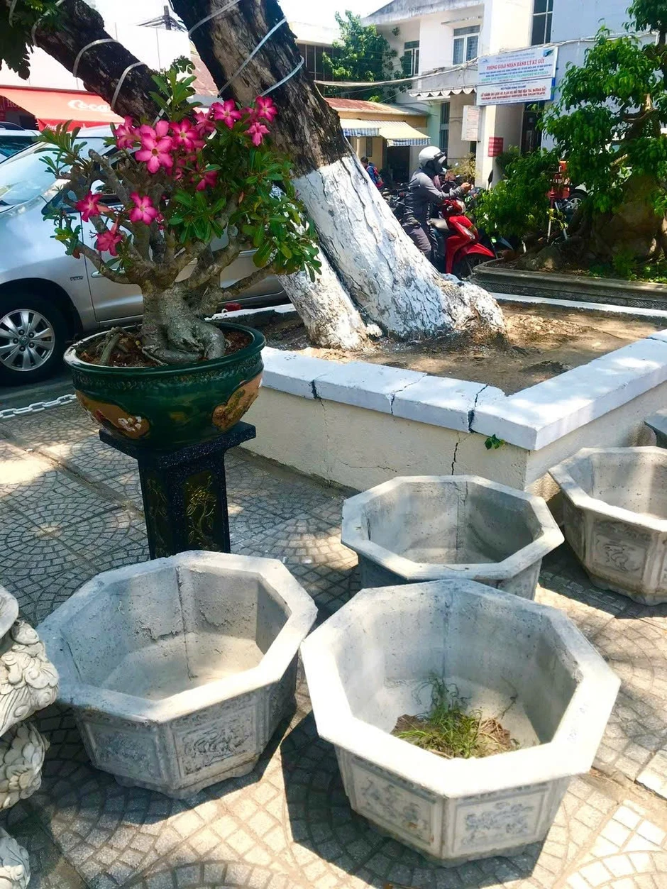 Đánh thức mùa xuân dọc đường ray đất nước Đánh thức mùa xuân dọc đường ray đất nước