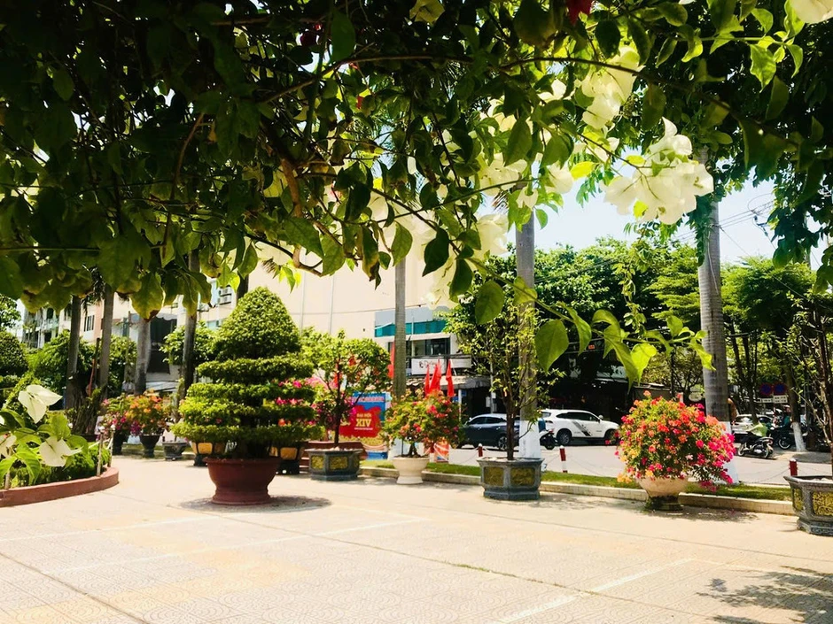 Đánh thức mùa xuân dọc đường ray đất nước Đánh thức mùa xuân dọc đường ray đất nước