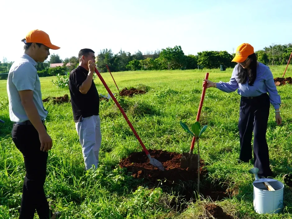 Đảo Phú Quý hướng tới trở thành điểm đến du lịch xanh tiêu biểu Đảo Phú Quý hướng tới trở thành điểm đến du lịch xanh tiêu biểu