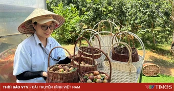 Đến Cầu Đất - Đà Lạt, trải nghiệm vườn mận Tam Hoa
