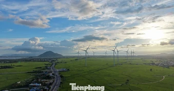 Đẹp lịm tim hoàng hôn ở cánh đồng điện gió