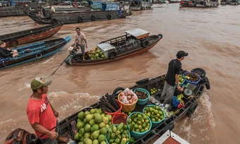 Địa danh Cái Răng ở Cần Thơ liên quan đến con vật nào?