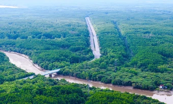 Điểm đặc biệt của khí hậu Cần Giờ