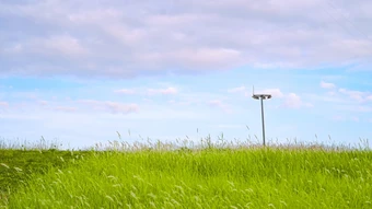 Điểm đến xanh mát giữa ngày hè ở Hà Nội