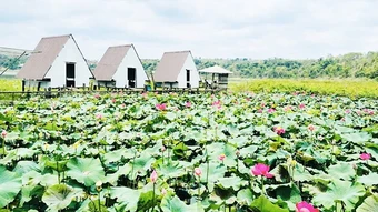 Điểm “giải nhiệt” ở phố núi
