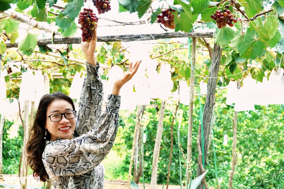 Đón lượng khách "vàng" dịp lễ 2/9, du lịch miệt vườn ở Phú Quốc lên ngôi Đón lượng khách "vàng" dịp lễ 2/9, du lịch miệt vườn ở Phú Quốc lên ngôi