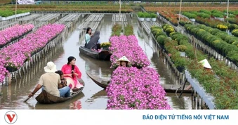 Đồng Tháp kết hợp giữa “xanh” và “số” để nâng tầm sản phẩm du lịch