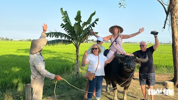 Du khách hào hứng trải nghiệm cưỡi trâu, chụp ảnh giữa đồng lúa ở Hội An Du khách hào hứng trải nghiệm cưỡi trâu, chụp ảnh giữa đồng lúa ở Hội An