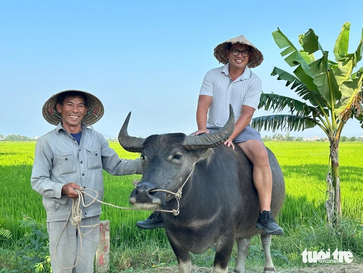 Du khách hào hứng trải nghiệm cưỡi trâu, chụp ảnh giữa đồng lúa ở Hội An Du khách hào hứng trải nghiệm cưỡi trâu, chụp ảnh giữa đồng lúa ở Hội An