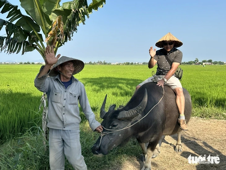 Du khách hào hứng trải nghiệm cưỡi trâu, chụp ảnh giữa đồng lúa ở Hội An Du khách hào hứng trải nghiệm cưỡi trâu, chụp ảnh giữa đồng lúa ở Hội An