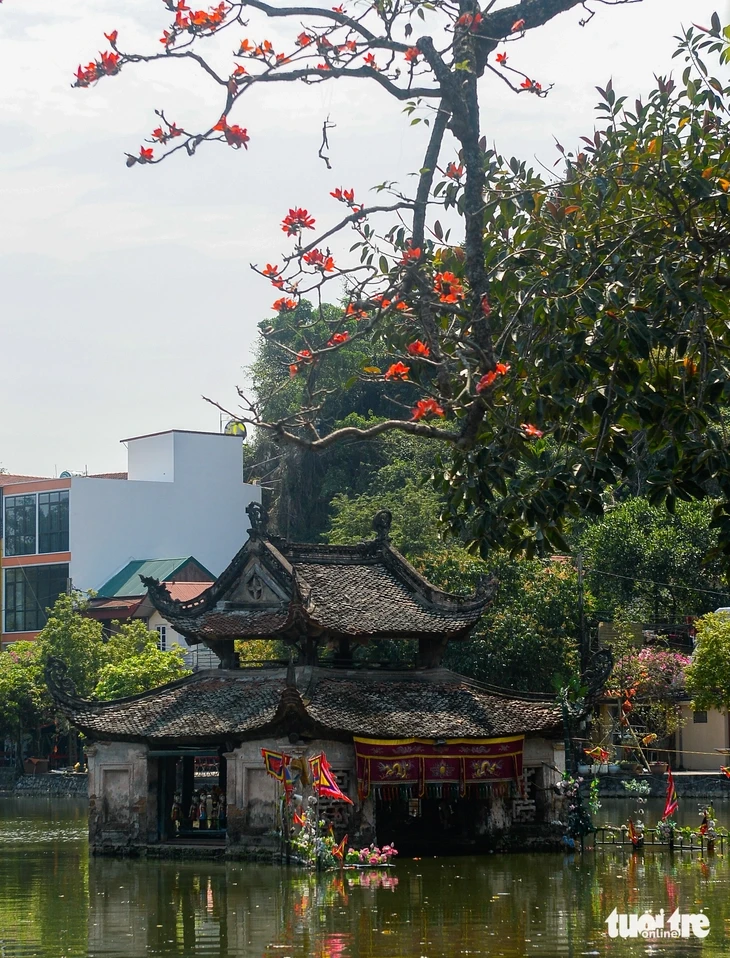 Du khách mê mẩn sắc đỏ hoa gạo khi ghé thăm Hà Nội tháng 3 Du khách mê mẩn sắc đỏ hoa gạo khi ghé thăm Hà Nội tháng 3