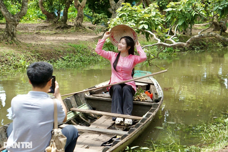 Du khách “quên lối về” khi lạc vào vườn nhãn cổ thụ ở Cần Thơ Du khách “quên lối về” khi lạc vào vườn nhãn cổ thụ ở Cần Thơ