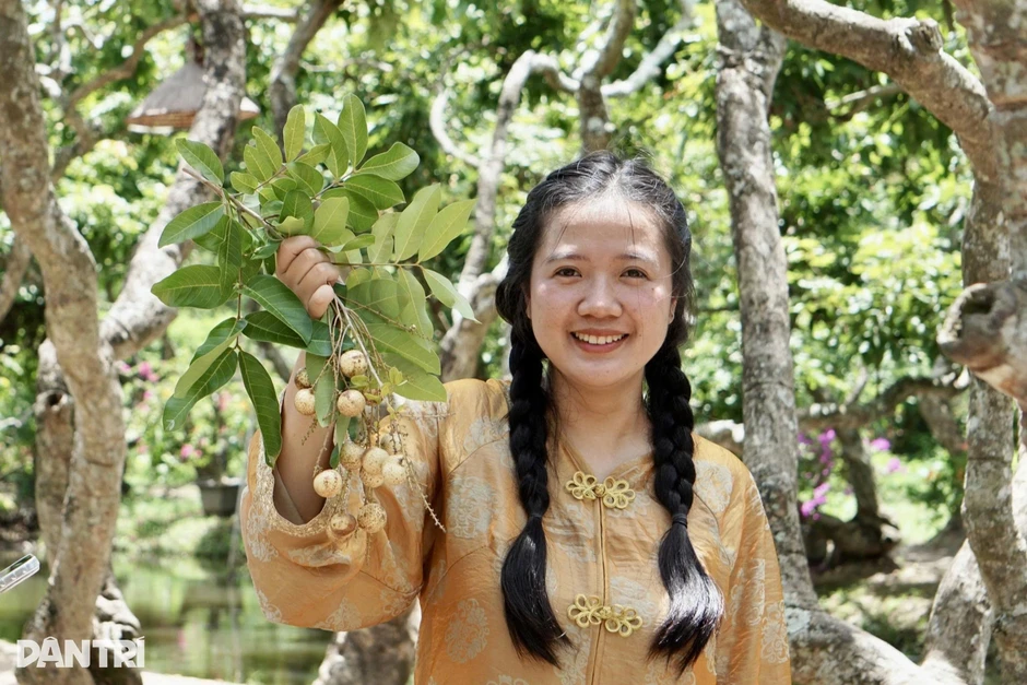 Du khách “quên lối về” khi lạc vào vườn nhãn cổ thụ ở Cần Thơ Du khách “quên lối về” khi lạc vào vườn nhãn cổ thụ ở Cần Thơ