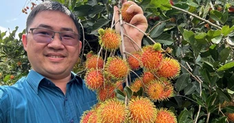 Du khách thích thú rủ nhau ăn chôm chôm tại vườn ở Đồng Nai
