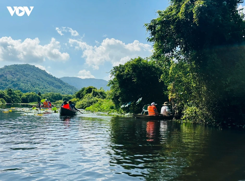 Du lịch Đắk Lắk: Khám phá vẻ đẹp nguyên sơ khu rừng ngập nước Hòa Thịnh Du lịch Đắk Lắk: Khám phá vẻ đẹp nguyên sơ khu rừng ngập nước Hòa Thịnh