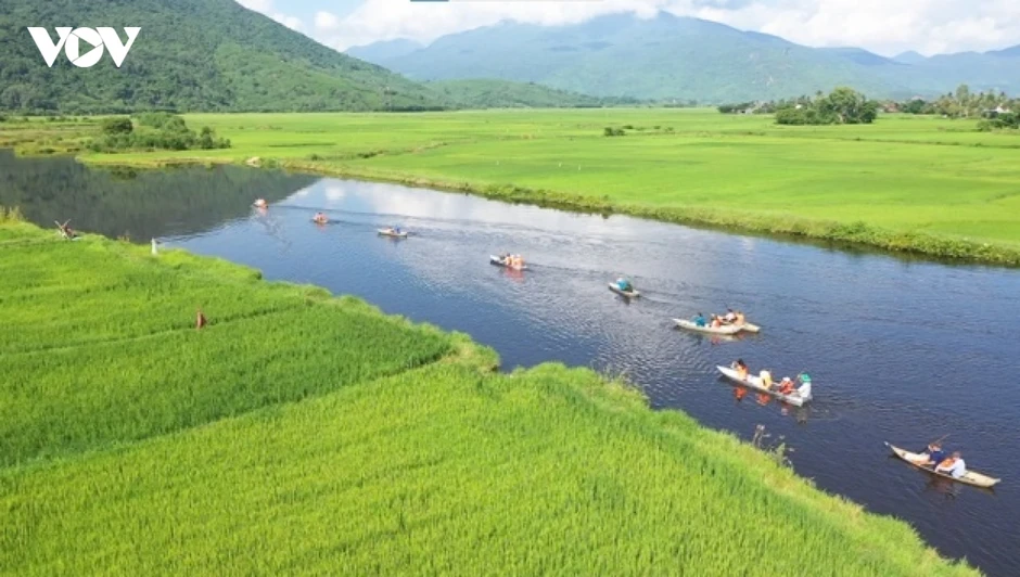 Du lịch Đắk Lắk: Khám phá vẻ đẹp nguyên sơ khu rừng ngập nước Hòa Thịnh Du lịch Đắk Lắk: Khám phá vẻ đẹp nguyên sơ khu rừng ngập nước Hòa Thịnh