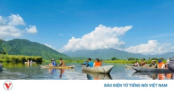 Du lịch Đắk Lắk: Khám phá vẻ đẹp nguyên sơ khu rừng ngập nước Hòa Thịnh