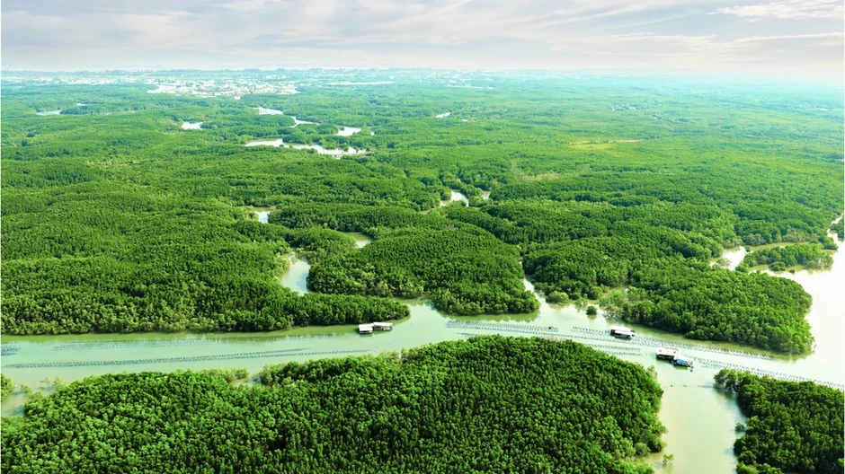 Du lịch TP.HCM tìm 'chìa khóa' giữ chân du khách bằng mô hình xanh Du lịch TP.HCM tìm 'chìa khóa' giữ chân du khách bằng mô hình xanh