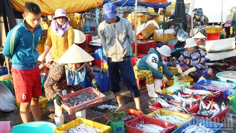 Đưa du lịch Khánh Hòa vươn tầm quốc tế từ quy hoạch Khu du lịch quốc gia Ninh Chử Đưa du lịch Khánh Hòa vươn tầm quốc tế từ quy hoạch Khu du lịch quốc gia Ninh Chử