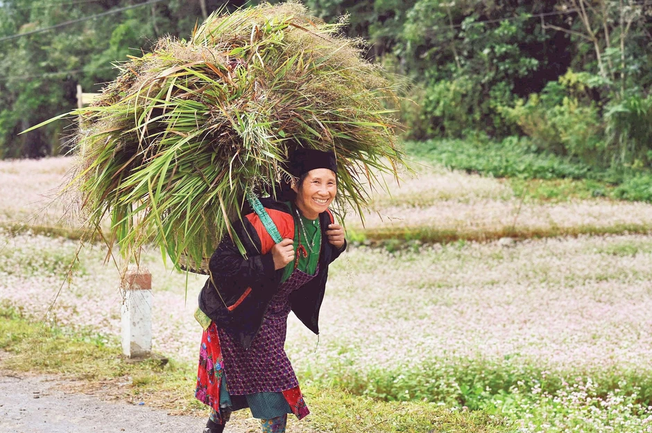 Đưa du lịch thành ngành kinh tế mũi nhọn Đưa du lịch thành ngành kinh tế mũi nhọn