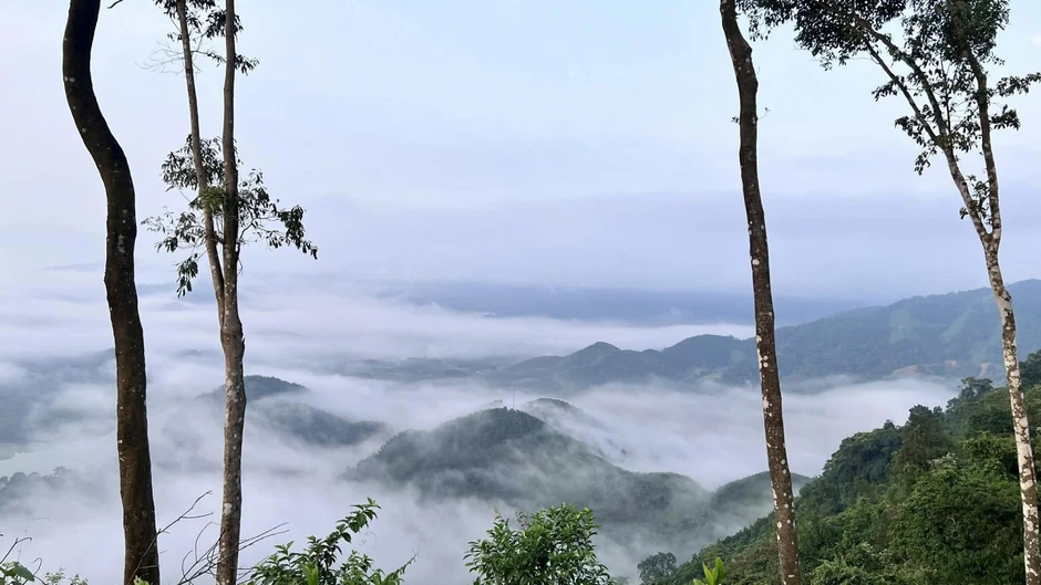 Dựng lều 'săn' mây trên đỉnh đồi giữa đại ngàn xứ Thanh