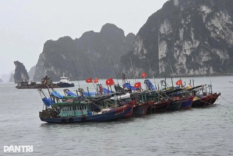 Dừng tour, không đưa khách vào nơi lũ quét, sạt lở để du lịch Dừng tour, không đưa khách vào nơi lũ quét, sạt lở để du lịch