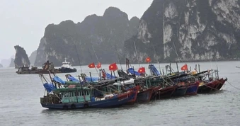 Dừng tour, không đưa khách vào nơi lũ quét, sạt lở để du lịch