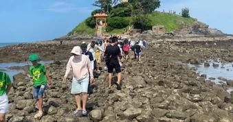 Đường ra đảo ở TPHCM chỉ xuất hiện vài giờ, khách muốn đi phải "xem ngày"