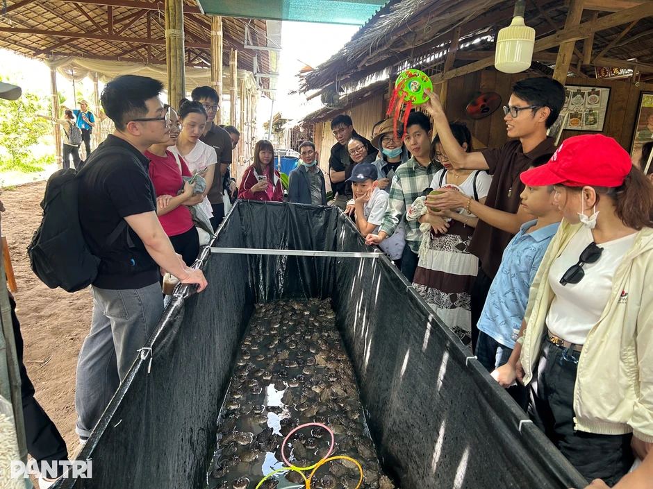 Ếch biết làm xiếc, cá lóc bay ở Cần Thơ hút khách về xem Ếch biết làm xiếc, cá lóc bay ở Cần Thơ hút khách về xem
