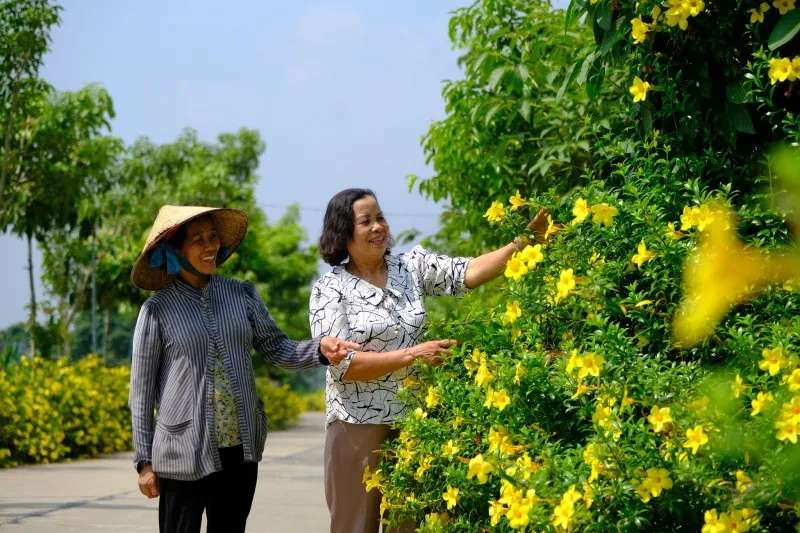 Festival Hoa Đà Lạt 2026 sẽ diễn ra với nhiều hoạt động đặc sắc Festival Hoa Đà Lạt 2026 sẽ diễn ra với nhiều hoạt động đặc sắc
