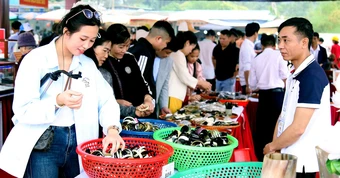 Gần 700 gian hàng OCOP trưng bày tại Lễ hội mùa xuân Côn Sơn - Kiếp Bạc