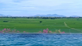 Gia đình khách Tây 'mê' Hội An, ở nguyên kỳ nghỉ 11 ngày