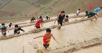 Giải chạy độc lạ nhất Việt Nam: Đua nhau leo ruộng bậc thang Mù Cang Chải