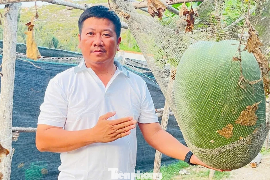 Giống bí đao ‘khổng lồ’ bén duyên nơi đảo xa Giống bí đao ‘khổng lồ’ bén duyên nơi đảo xa