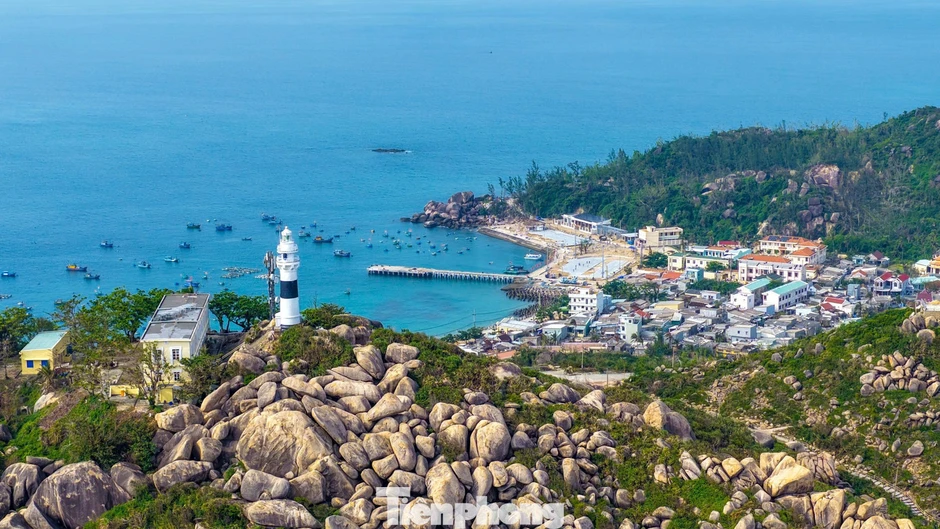 Giống bí đao ‘khổng lồ’ bén duyên nơi đảo xa Giống bí đao ‘khổng lồ’ bén duyên nơi đảo xa