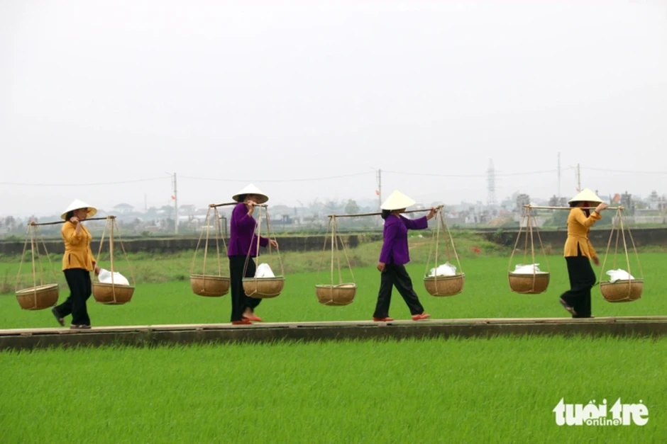 Giống gạo đặc biệt ở làng bún 400 tuổi được công nhận là di sản văn hóa quốc gia Giống gạo đặc biệt ở làng bún 400 tuổi được công nhận là di sản văn hóa quốc gia