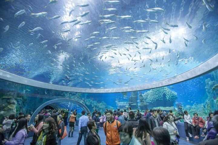 Hạ Long gọi tên kỳ quan mới: Công viên Thủy cung lớn nhất thế giới quy mô 24ha Hạ Long gọi tên kỳ quan mới: Công viên Thủy cung lớn nhất thế giới quy mô 24ha