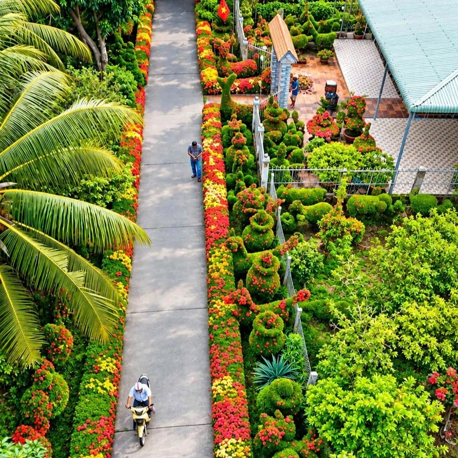Hàng rào bông trang miền Tây đẹp như tranh khiến dân mạng mê mẩn Hàng rào bông trang miền Tây đẹp như tranh khiến dân mạng mê mẩn