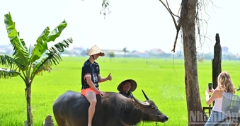 Hành trình chuyển mình mạnh mẽ của du lịch Việt Nam
