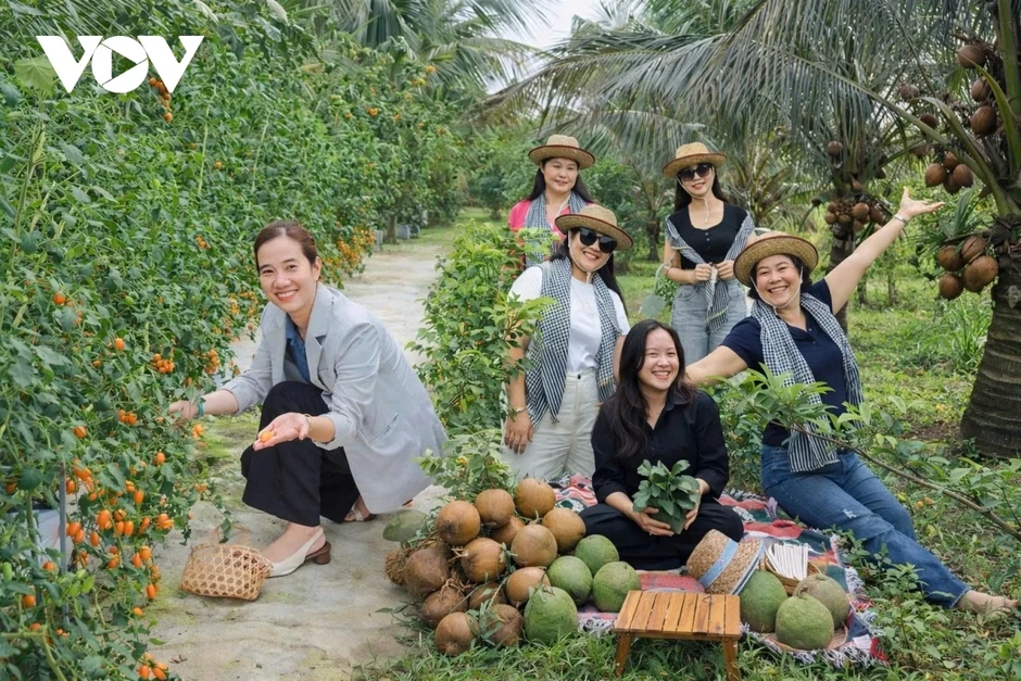 Hình thành tour nông trại trải nghiệm quanh núi Bà Đen Hình thành tour nông trại trải nghiệm quanh núi Bà Đen